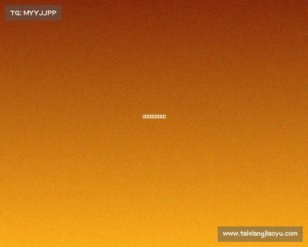 散打国际赛事有哪些